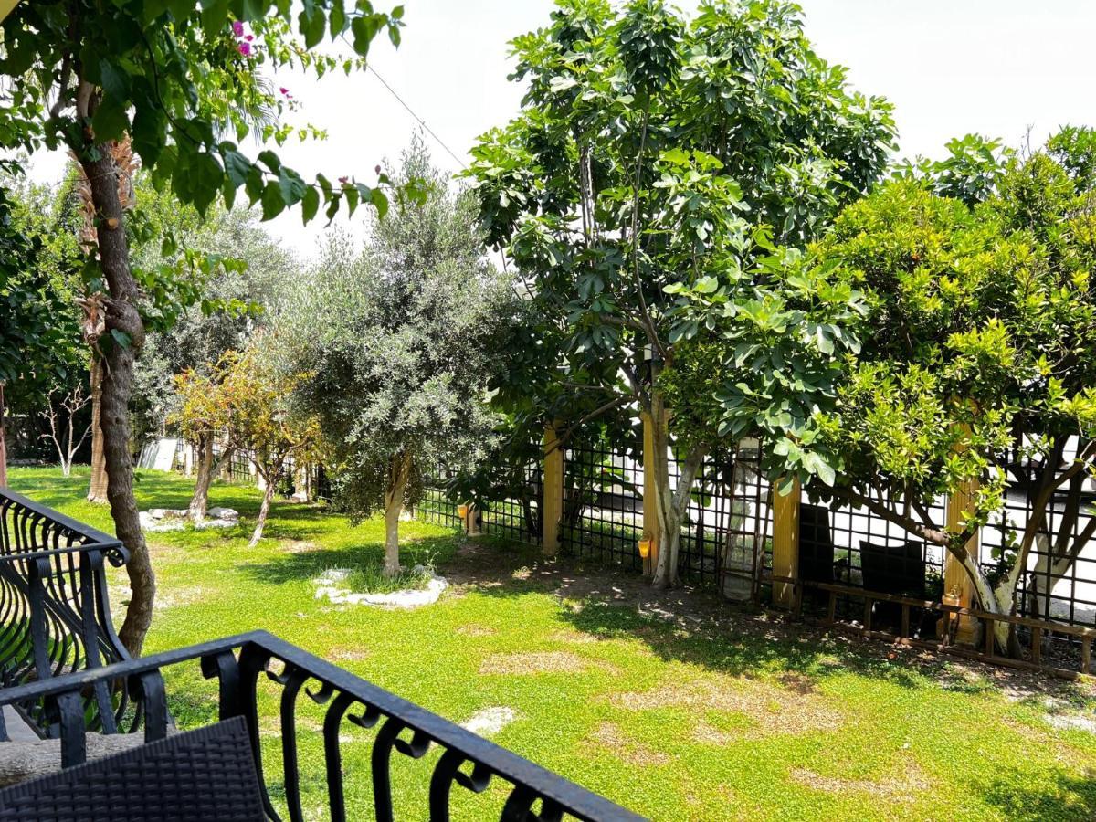 Han Boutique Hotel Sarigerme Εξωτερικό φωτογραφία